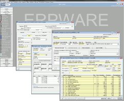 ERPWARE2